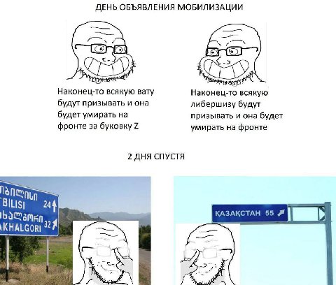 ДЕНЬ ОБЪЯВЛЕНИЯ МОБИЛИЗАЦИИ poy Наконец-то всякую вату Наконец-то всякую будут призывать и она либершизу будут будет умирать на призывать и она будет фронте 3a буковку 2 умирать на фронте 2 ДНЯ СПУСТЯ