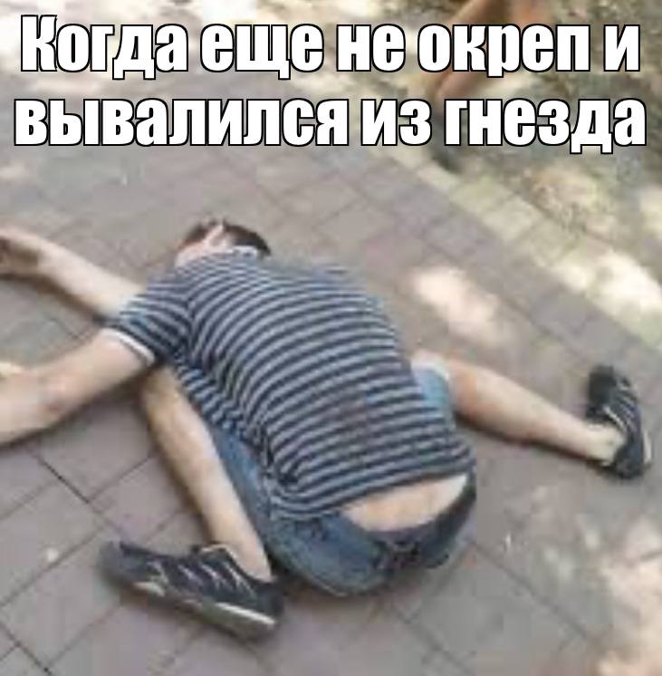 неокреп и вывалился из гнезда 4, 4