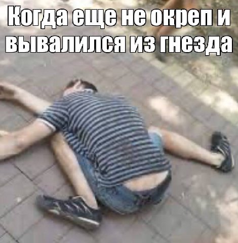 неокреп и вывалился из гнезда 4, 4