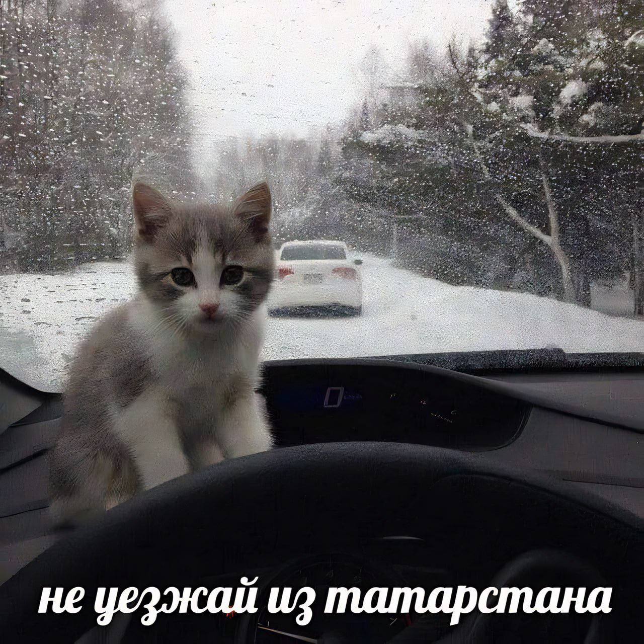 He уезжай из татарстана