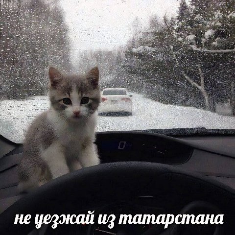 He уезжай из татарстана