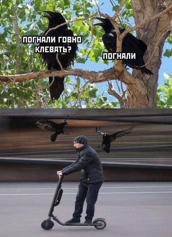 ЖЕ i ПОГНАЛИ ГОВНО КЛЕВАТЬ? 7 igs a