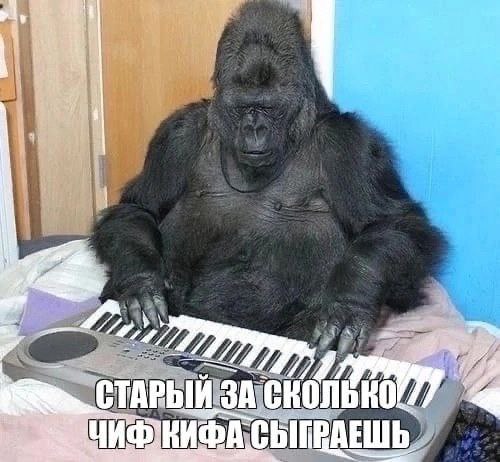 СТА РЫЙ ЗА Chil