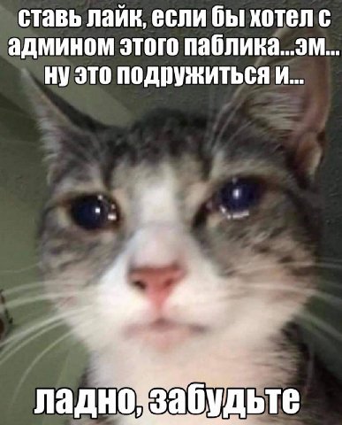 ставь лайк, если бы хотел с админом этого паблика...эм... это подружиться и... ладно забудьте
