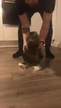 мем