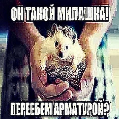 aye К: 1 1 5 4 2 4 Jui
