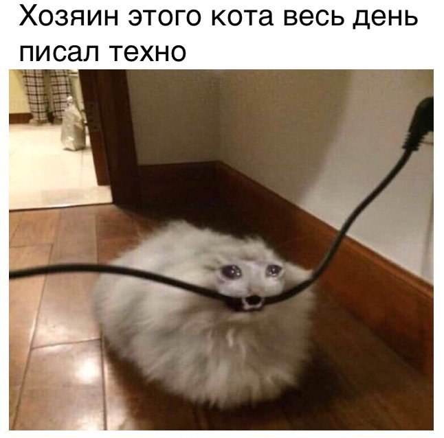 Хозяин этого кота весь день писал техно