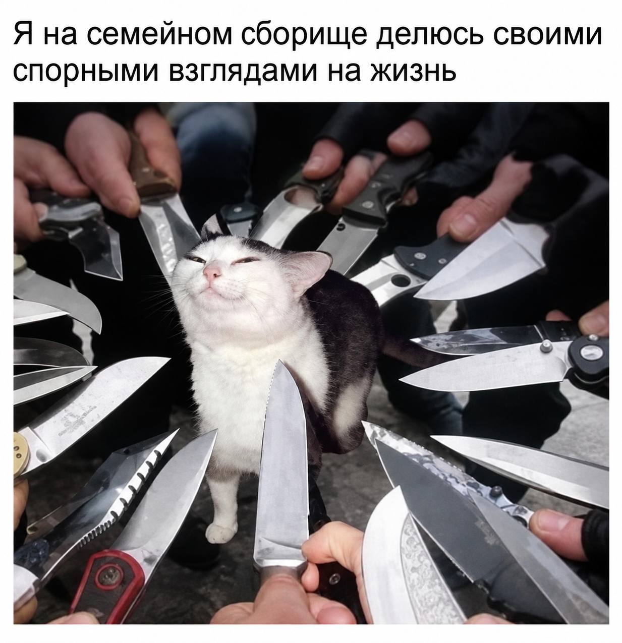 Я на семейном сборище делюсь своими спорными взглядами на жизнь