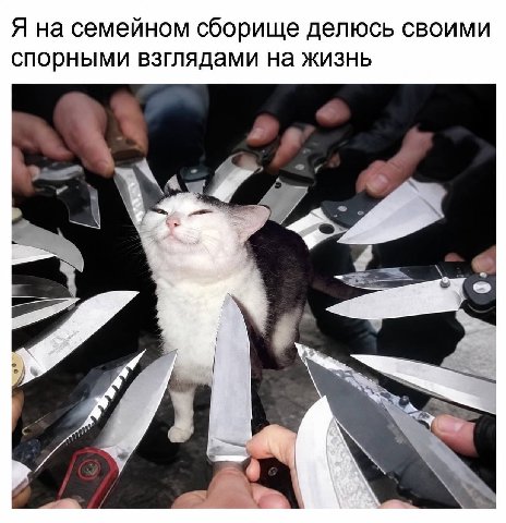 Я на семейном сборище делюсь своими спорными взглядами на жизнь