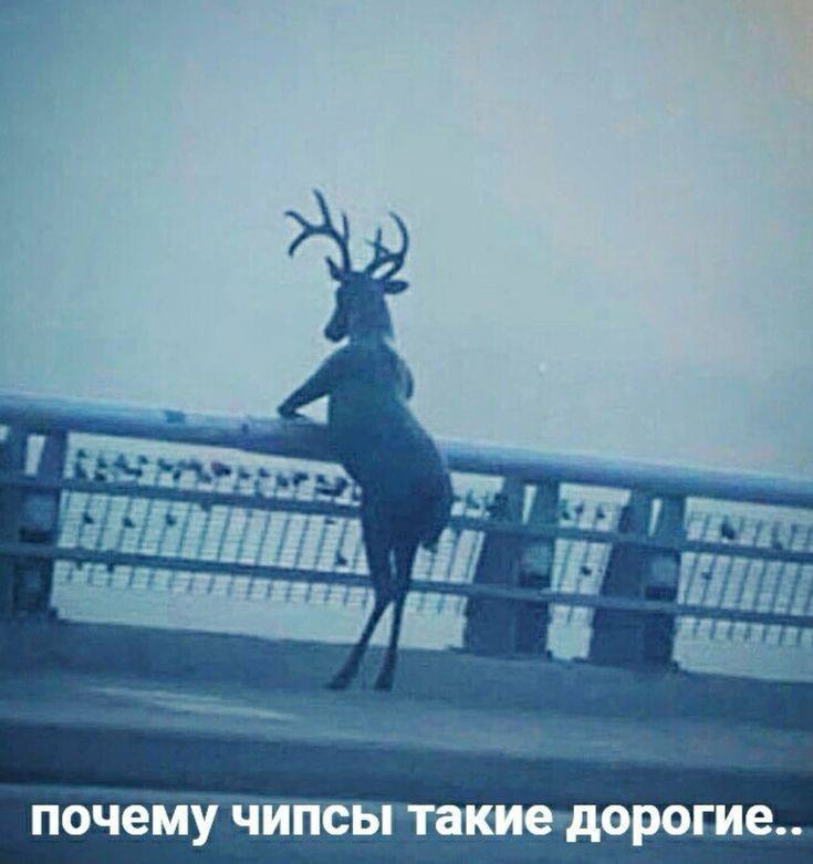 почему чипсы такие