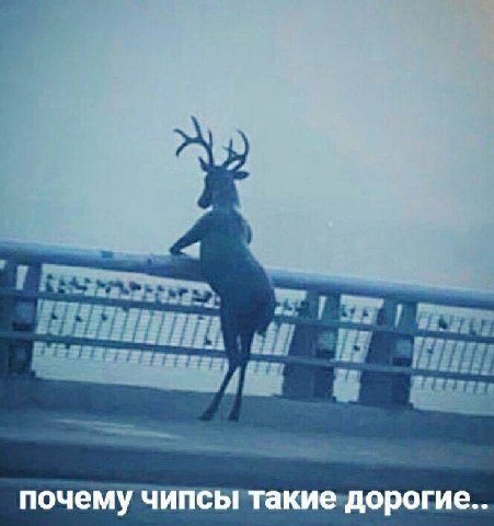 почему чипсы такие