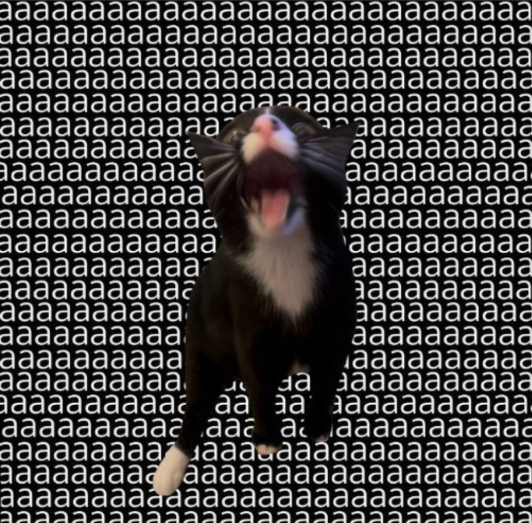заааааааааааааааааааааааааааа аааааааааааааааааааааааааааае зааааааааааааааааааааааа а аааааааааааааааааааааааааааа: зааааааааааае ааааас. a аааааааа ааааааааае ааааааааааа зааааааааае зааааааааааа ‚а