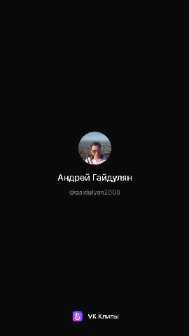 Андрей Гайдулян