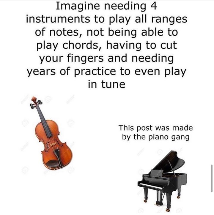 Imagine needing 4 instruments to play all ranges of notes, not being able to play chords, having to cut your fingers and needing years of practice to even play in tune This post was made the piano gan