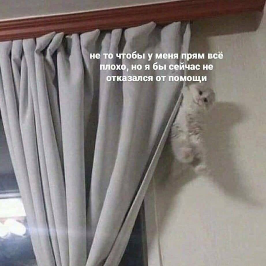 не то чтобы у меня прям всё плохо, но я бы сейчас не отказался от помощи