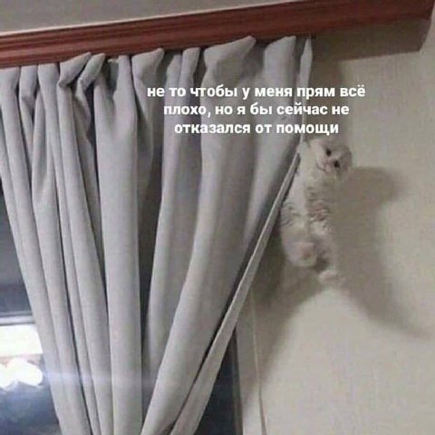 не то чтобы у меня прям всё плохо, но я бы сейчас не отказался от помощи