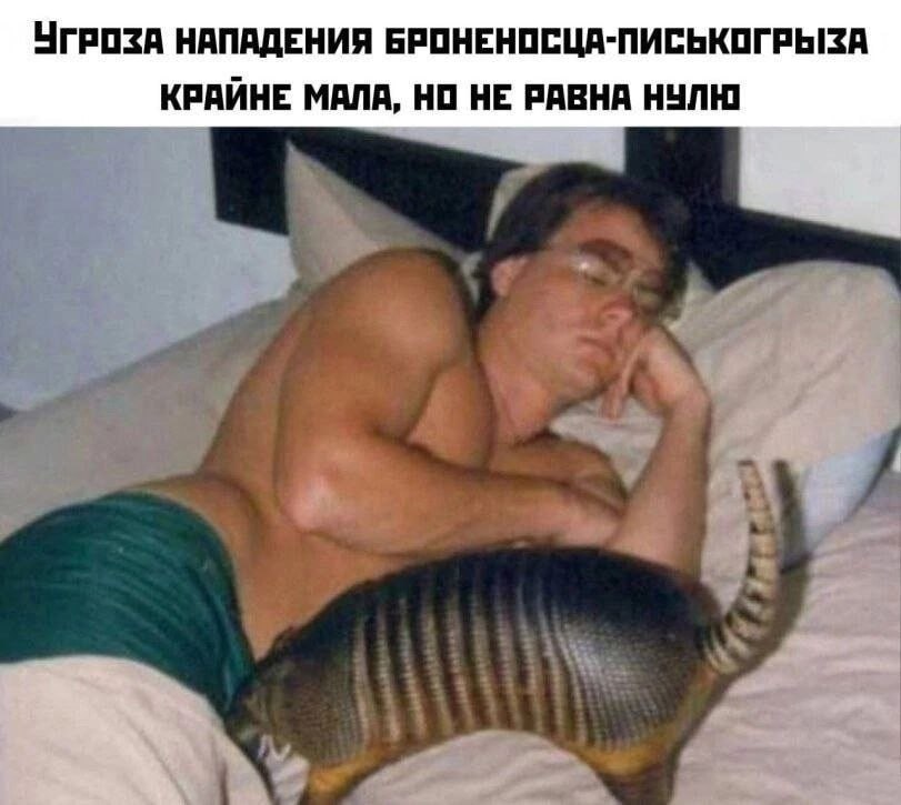 ЧГРОЗА НАПАДЕНИЯ БРОНЕНОСЦА-ПИСЬКОГРЫЗА КРАИНЕ МАЛА, НО НЕ РАВНА НУЛЮ у