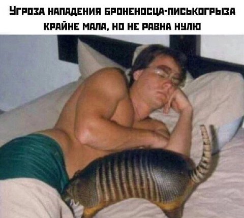 ЧГРОЗА НАПАДЕНИЯ БРОНЕНОСЦА-ПИСЬКОГРЫЗА КРАИНЕ МАЛА, НО НЕ РАВНА НУЛЮ у