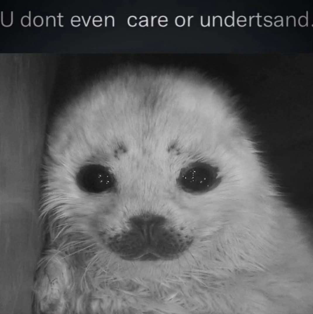 dont even саге or undertsand