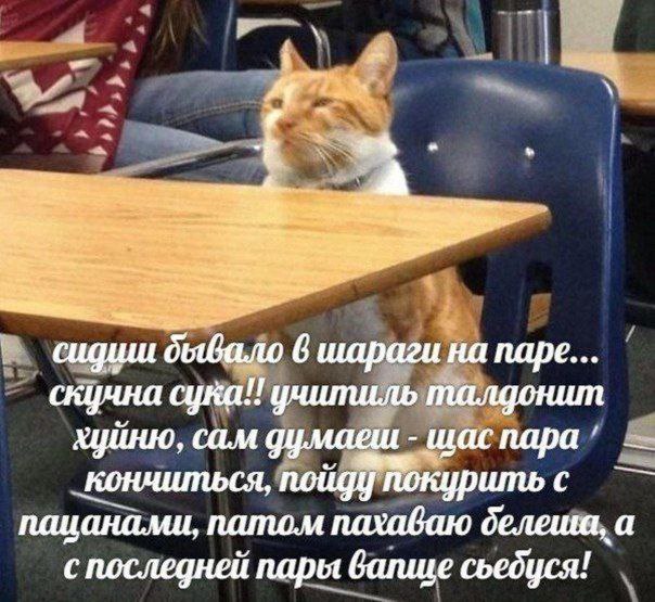 дывало 6 шараги на nape... скучна сука!! талдонит хуйню, сам думаеш шас пара кончиться, noiigy с пацанами, патом пахаваю делеша, a с последней пары валше сьебдуся!