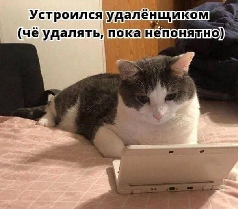 Устроился удаленщиком удалять! 4