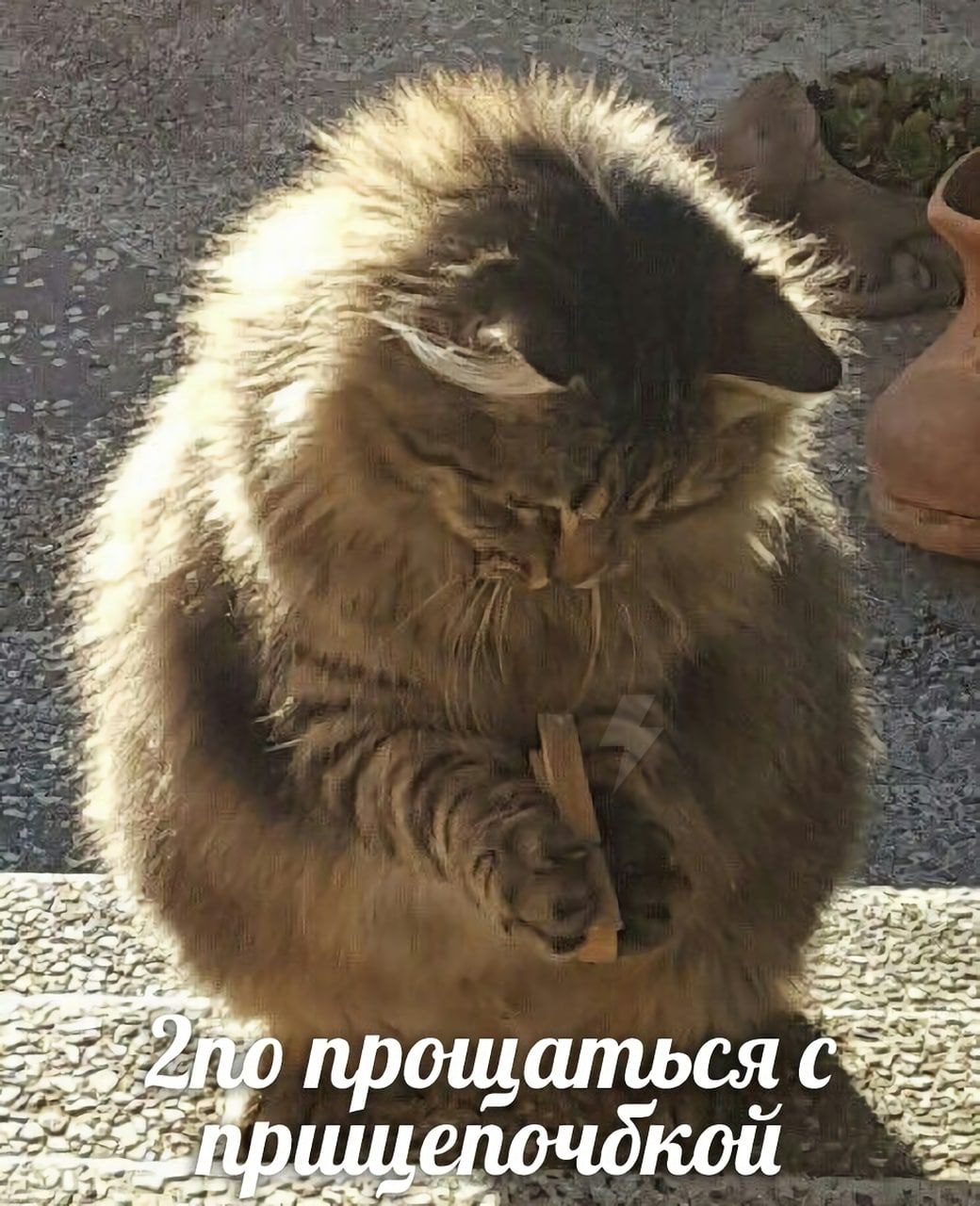 we прощаться