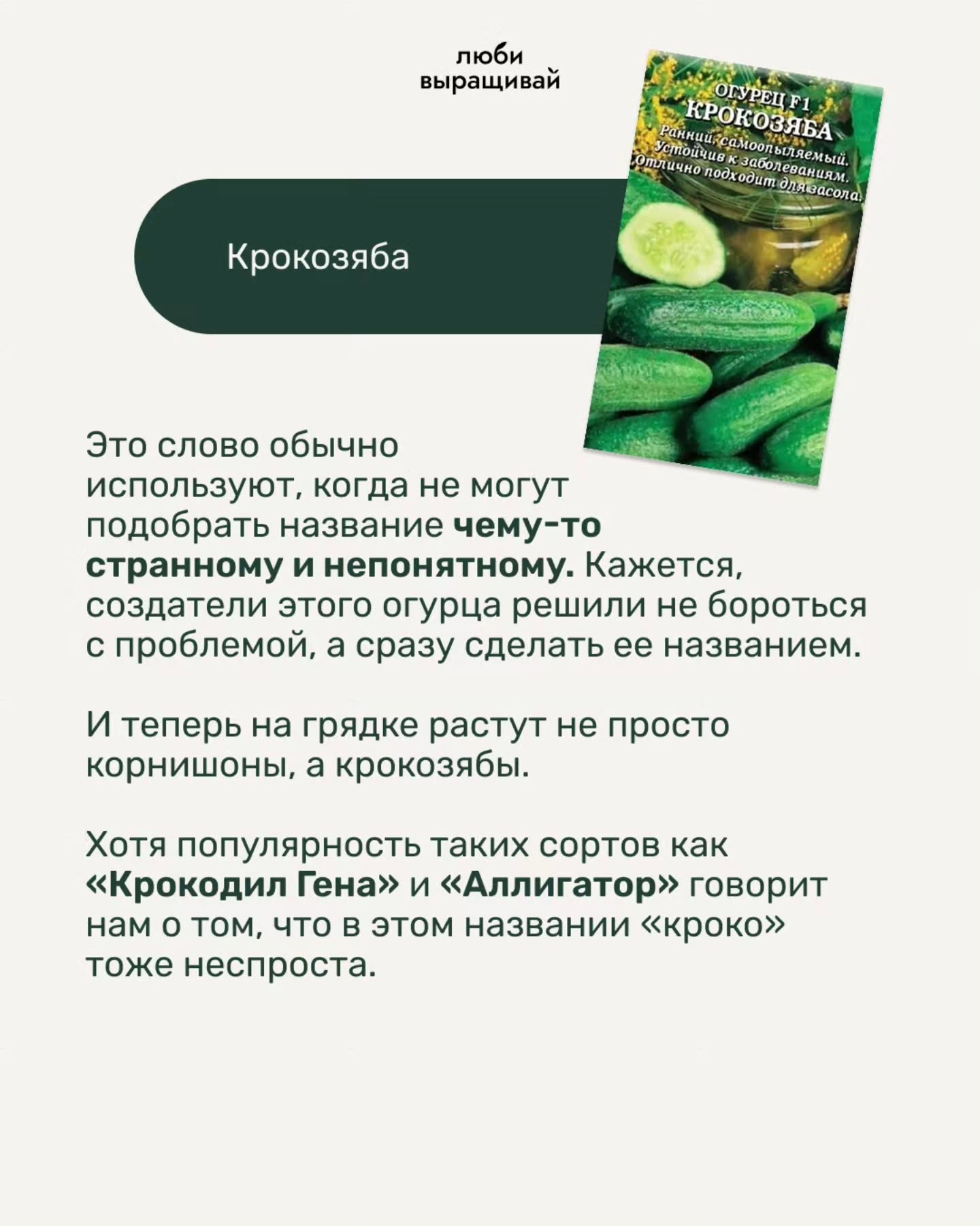 люби выращивай УРЕ hve ола) Крокозяба Это слово обычно используют, когда не могут подобрать название чему-то странному и непонятному. Кажется, создатели этого огурца решили не бороться С проблемой, а 
