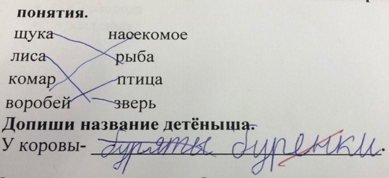 понятия. щук насекомое лис ыба комар тица воробе зверь Допиши название mae У коровы- 112