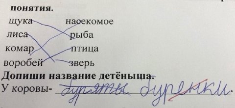 понятия. щук насекомое лис ыба комар тица воробе зверь Допиши название mae У коровы- 112