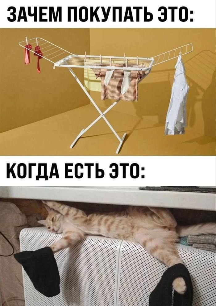 ЗАЧЕМ ПОКУПАТЬ ЕЕ КОГДА ЕСТЬ