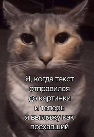 Я, когда текст отправился до картинки и теперь я выгляжу как поехавший