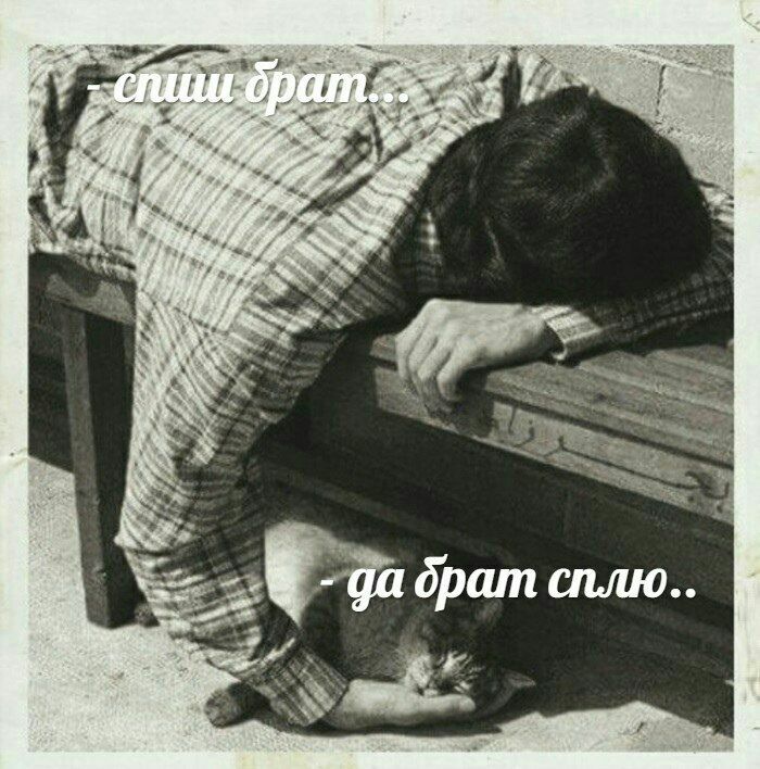 And брат сплю..