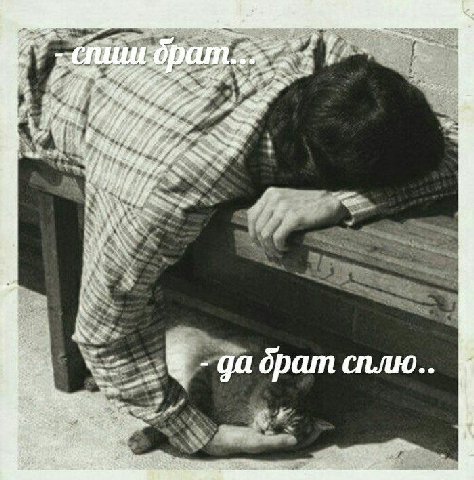 And брат сплю..
