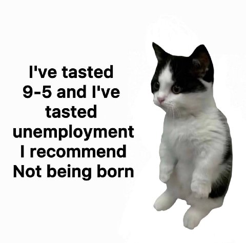 I've tasted 9-5 and I've tasted unemployment recommend Not being born