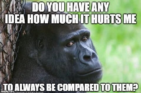 YOU HAVE ANY IDEA HOW MUCHI THURTS ME TO ALWAYS BE COMPARED ТО THEM?