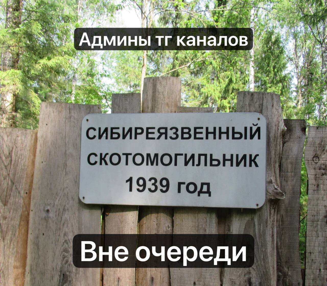 https://t.me/blcktlk/48120