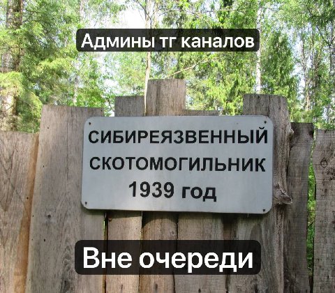 https://t.me/blcktlk/48120