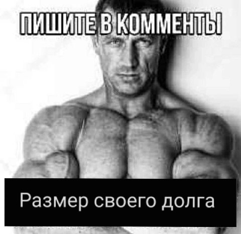 ПИШИТЕ Размер своего долга