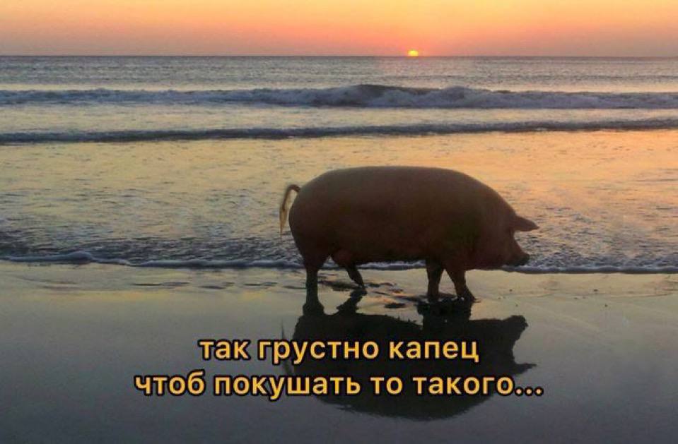 так грустно капец чтоб покушать то такого...