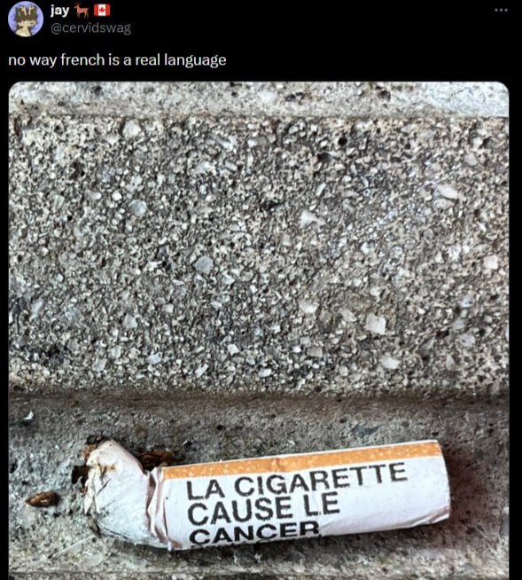 jay no way french is a real language mY 4 3% me of 28 ‘A of a> у; 7 be Cer Mee 2% a i.* у АВЕТТЕ CIG к GAU