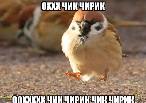 ОККК YAR ЧИРИЕ a Чик