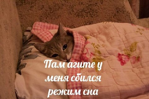 Пам агите у ‚меня сбился режим сна