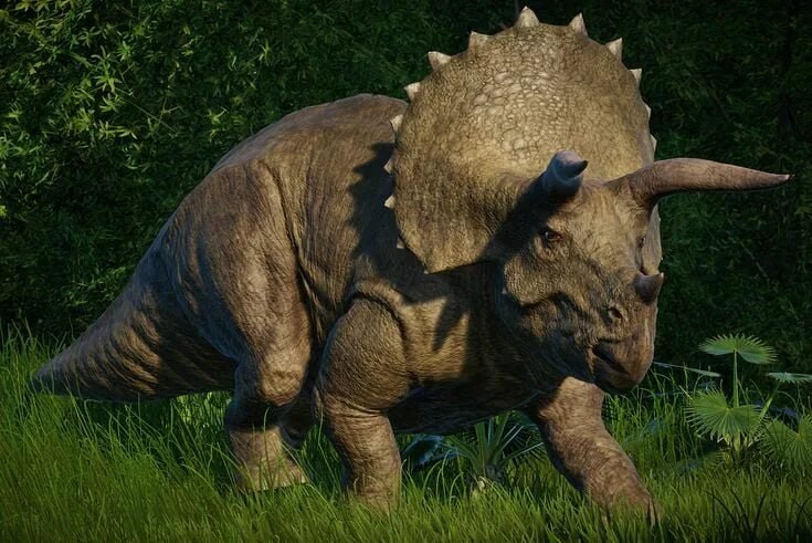 любители динозавров, как вам осознание, что внутри вашего фандома кто-то любит трицератопсов?

это же такое уёбище, выглядит как фимоз, ещё и ест какую-то траву ебаную

предлагаю таких фриков выписыва