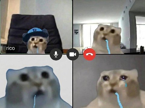 rico