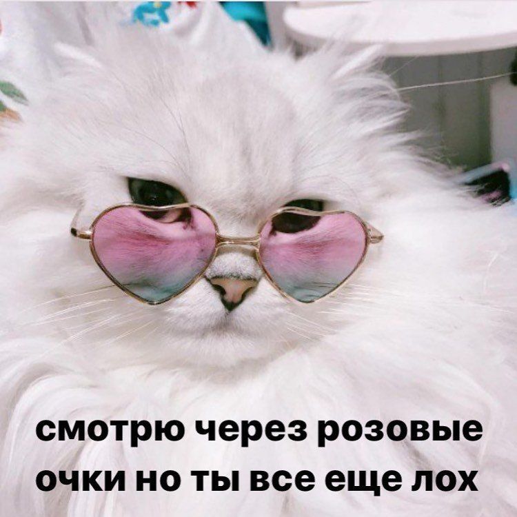 смотрю через розовые очки но ты всееще лох