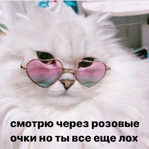 смотрю через розовые очки но ты всееще лох