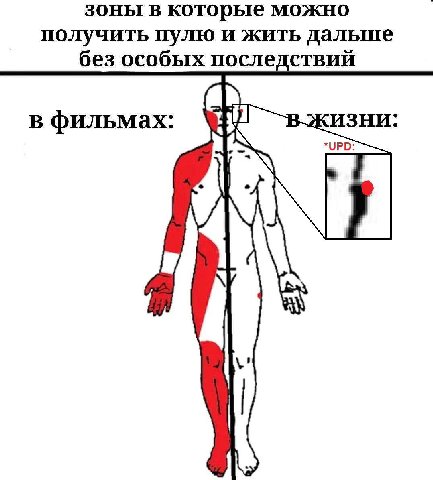 зоны в которые можно получить пулю и жить дальше без особых последствий i в фильмах: В ЖИЗНИ