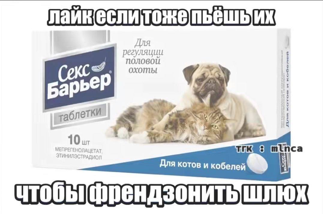 регуляции половой охоты papbeP летки МЕПРЕГЕНОЛАЦЕТ ЭТИНИЛЭСТРАДИОЛ 1 9 Для котов и шлюх