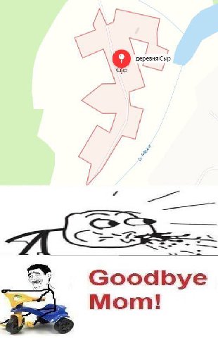у и Goodbye Mom!