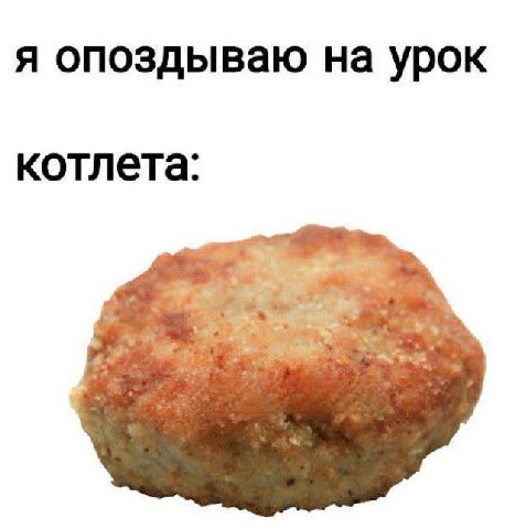 A опоздываю на урок котлета: